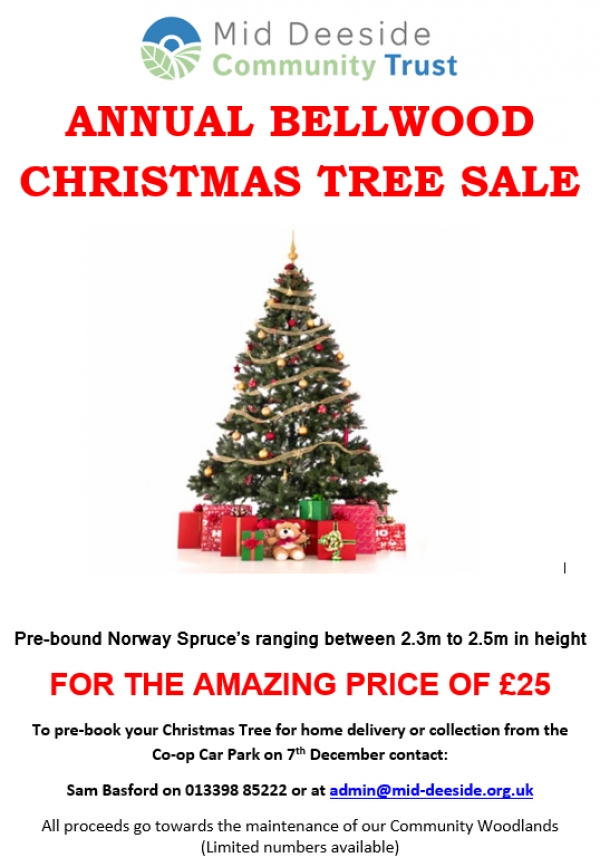 Bell Wood Christmas Tree Sale